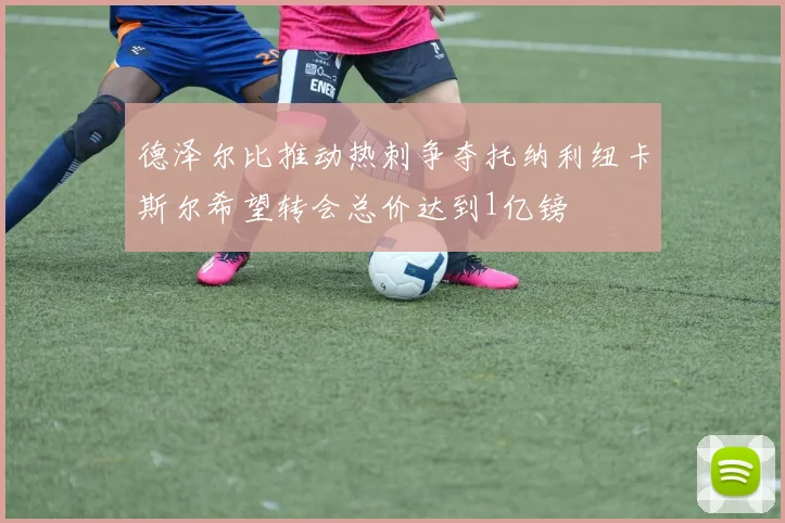 德泽尔比推动热刺争夺托纳利纽卡斯尔希望转会总价达到1亿镑
